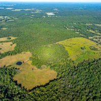 160 - Acres Pasture Mature Timber Pond NO RESTRICTIONS Cave City AR images 4