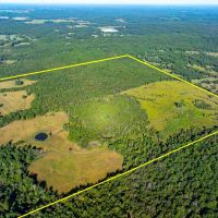 160 - Acres Pasture Mature Timber Pond NO RESTRICTIONS Cave City AR images 5
