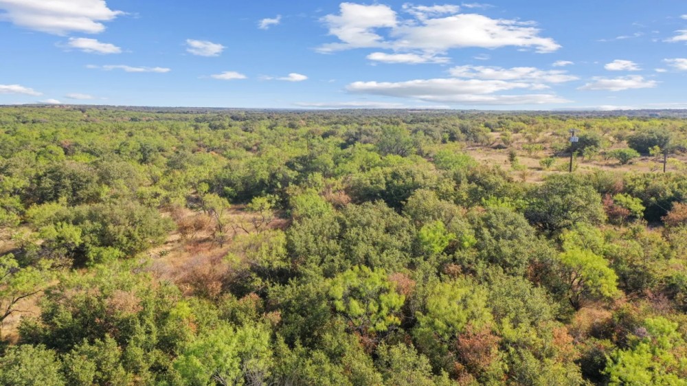 NEW LISTING 18 -Acres Tract 1 Hwy 6 Moran TX featured image