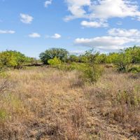 NEW LISTING 18 -Acres Tract 1 Hwy 6 Moran TX images 5