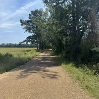 40 Acres Hunting Timberland for Sale Southwest MS images 3