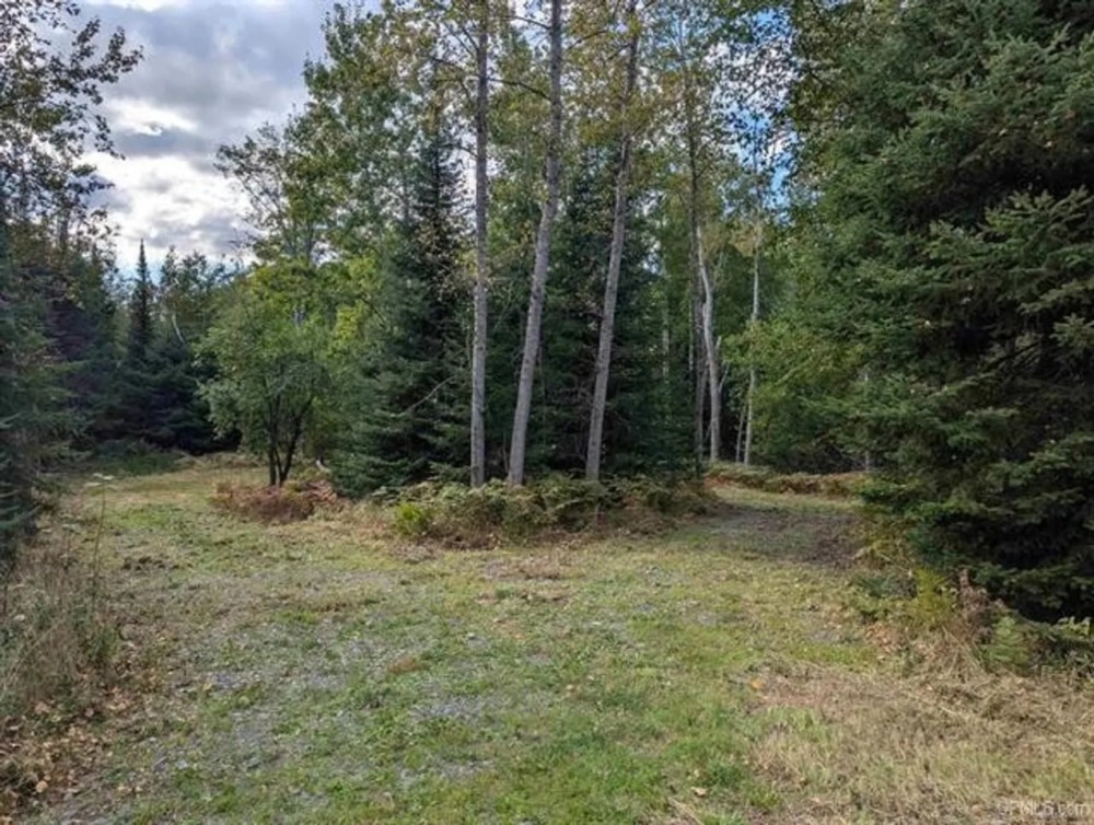 Michigan Wooded Vacant Land 50156507 featured image