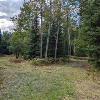 Michigan Wooded Vacant Land 50156507