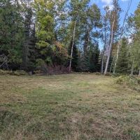 Michigan Wooded Vacant Land 50156507 images 2