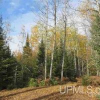 Michigan Wooded Vacant Land 50156507 images 5