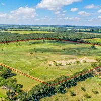 JUST LISTED 48 - Acres CR 290 Rising Star Texas 76471