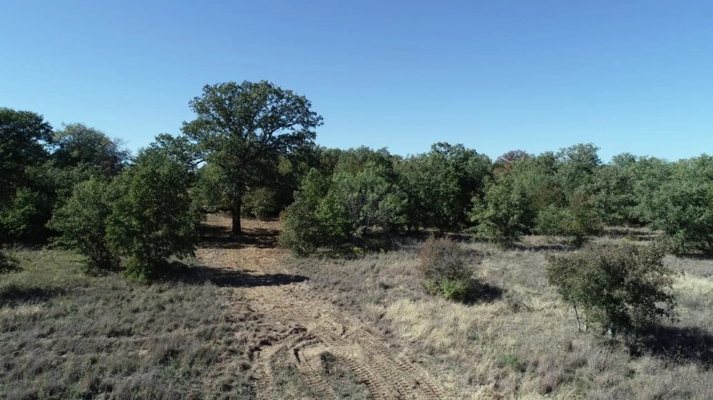 Quality oaks and homesites 50 miles from Downtown Ft. Worth featured image