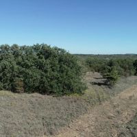 Quality oaks and homesites 50 miles from Downtown Ft. Worth images 5