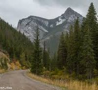 Lewis and Clark 1,215 acres deer hunting land in McKenzie, ND images 3