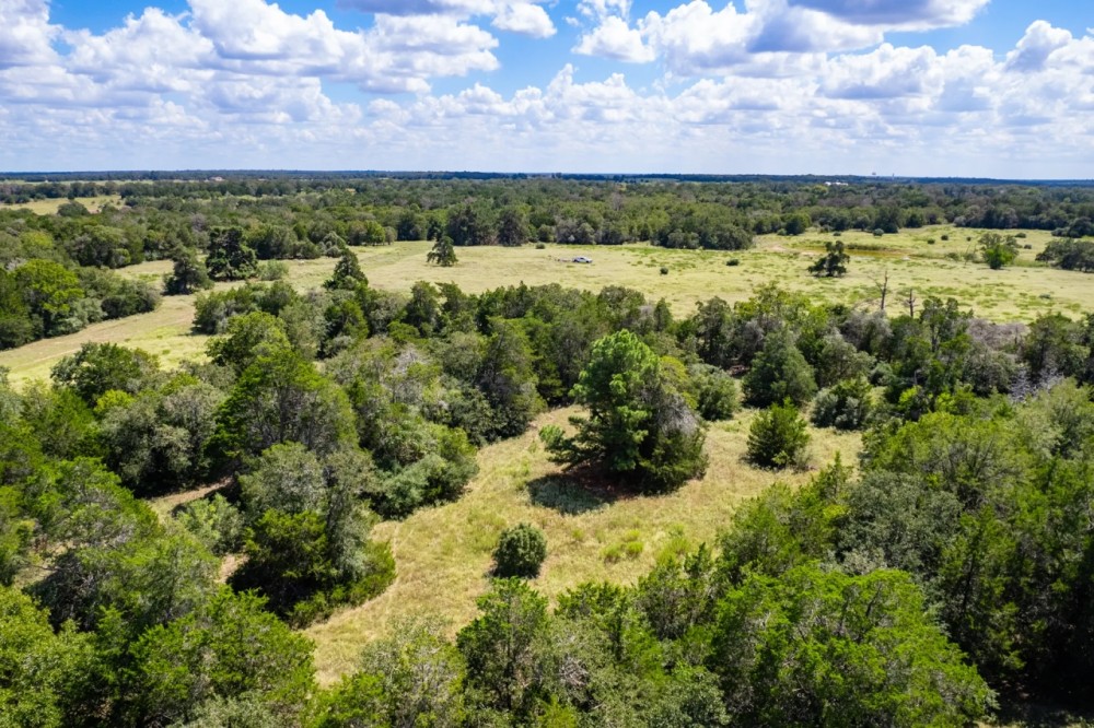 Lone Pine Ranch featured image