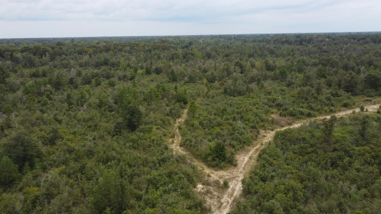 1100 Blk Mouth of the Creek Road Merryville LA 70653 Hunting Land for