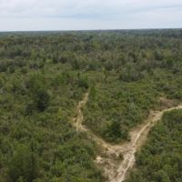 1100 Blk Mouth of the Creek Road Merryville LA 70653
