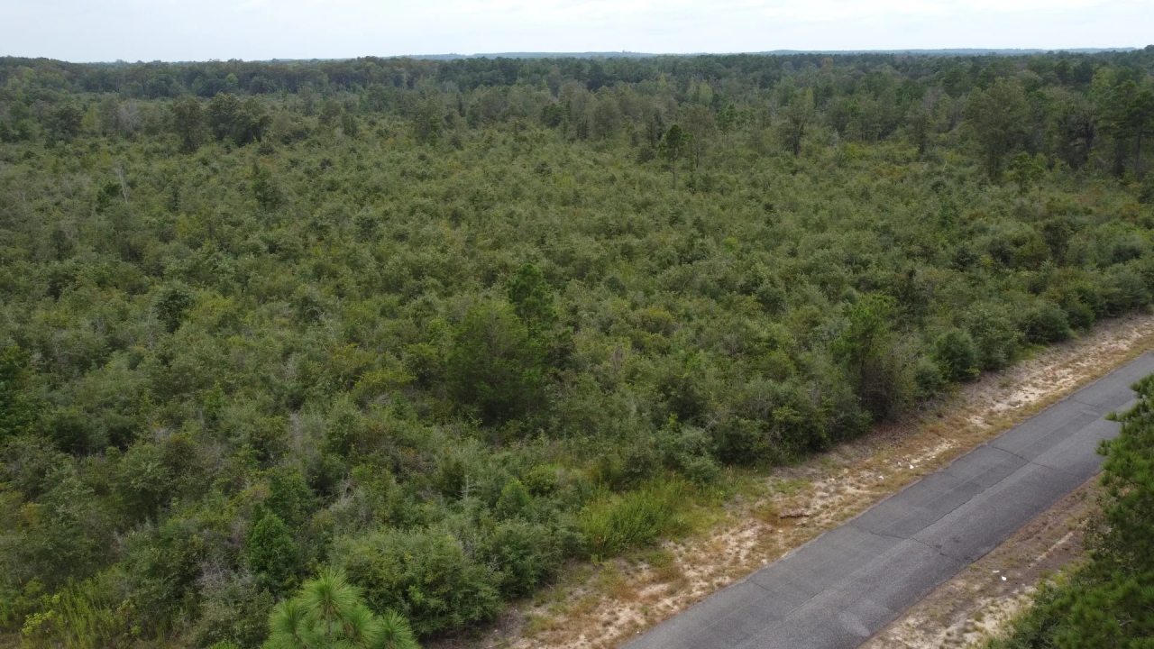 1100 Blk Mouth of the Creek Road Merryville LA 70653 Hunting Land for