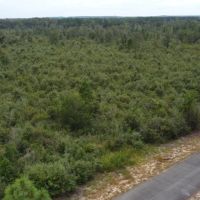 1100 Blk Mouth of the Creek Road Merryville LA 70653 images 2