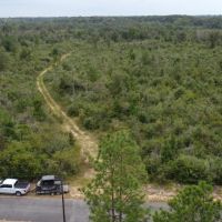 1100 Blk Mouth of the Creek Road Merryville LA 70653 images 3