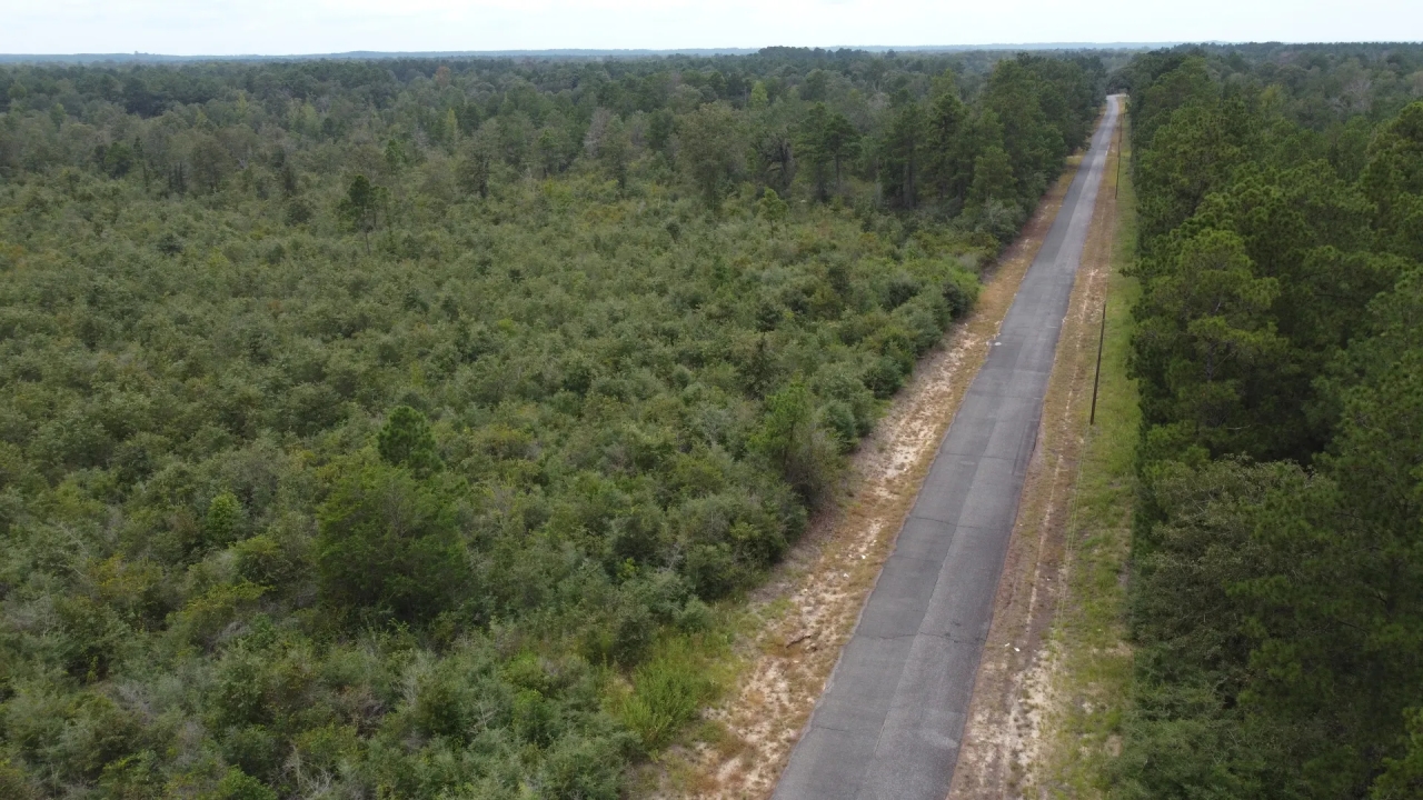 1100 Blk Mouth of the Creek Road Merryville LA 70653 Hunting Land for