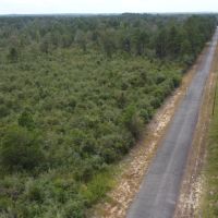 1100 Blk Mouth of the Creek Road Merryville LA 70653 images 4