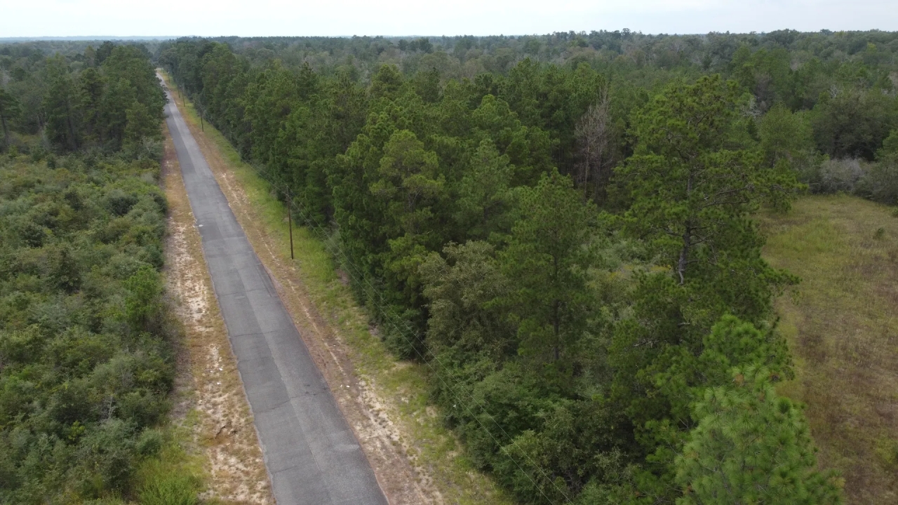 1100 Blk Mouth of the Creek Road Merryville LA 70653 Hunting Land for