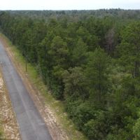 1100 Blk Mouth of the Creek Road Merryville LA 70653 images 5