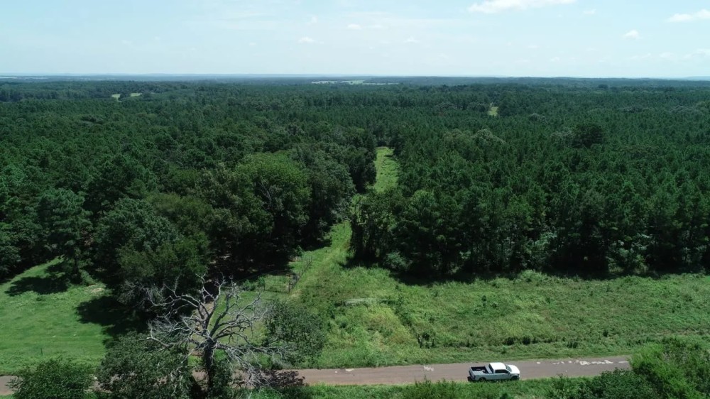 Tree covered acreage in Anderson Cty on paved road Tract 3 featured image
