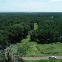 Tree covered acreage in Anderson Cty on paved road Tract 3