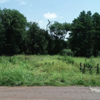 Tree covered acreage in Anderson Cty on paved road Tract 3 images 2