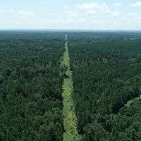 Tree covered acreage in Anderson Cty on paved road Tract 3 images 4