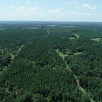 Tree covered acreage in Anderson Cty on paved road Tract 3 images 5