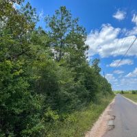 17 Acres CR 1420 CR 1325 T-14 images 4