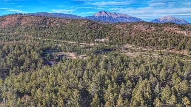 9205 County Rd 38.2 Weston CO 81091 featured image