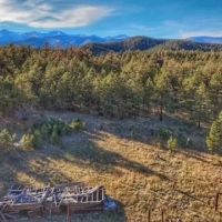 9205 County Rd 38.2 Weston CO 81091 images 4