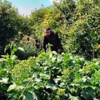 Tobacco Garden 392 acres deer hunting land in McKenzie, ND images 2