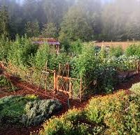 Tobacco Garden 392 acres deer hunting land in McKenzie, ND images 3