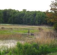 Tobacco Garden 392 acres deer hunting land in McKenzie, ND
