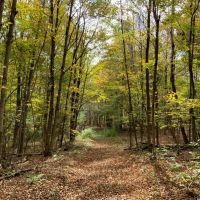 86 acre Riverfront Hunting Land Georgetown NY