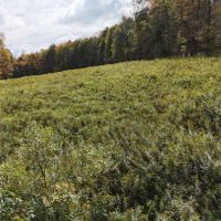86 acre Riverfront Hunting Land Georgetown NY images 2