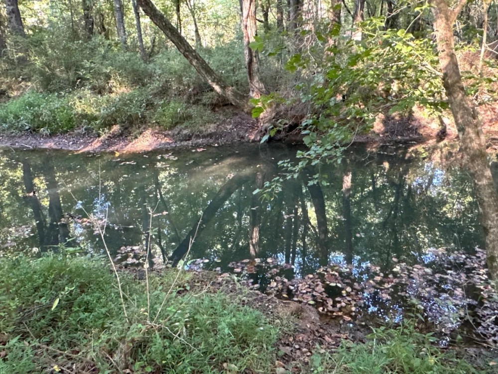 Rare find in Bartow County featured image