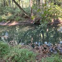 Rare find in Bartow County