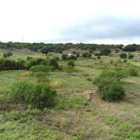 Hilltop views with oak trees electricity water well