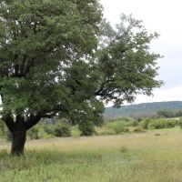 Hilltop views with oak trees electricity water well images 5