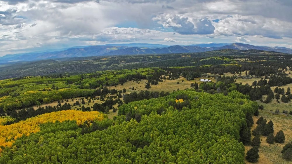 Ten High Ranch featured image