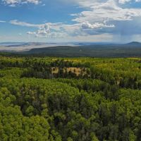 Ten High Ranch images 2