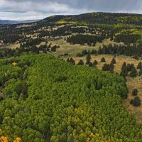 Ten High Ranch images 4