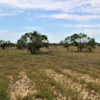Owner Finance acreage in Comanche County images 3