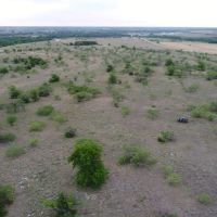 Owner Finance acreage in Comanche County images 4