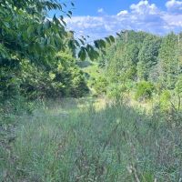 Hunting Getaway