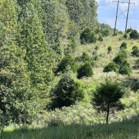 Hunting Getaway images 2