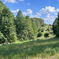 Hunting Getaway images 4