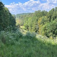 Hunting Getaway images 5