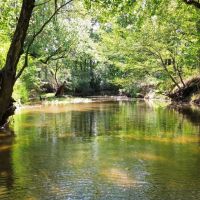 31 Acres with Frontage on the Chattooga River in Walker County GA